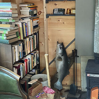 A woodsy cabin with overflowing bookshelves