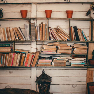 Photo of bookshelves and planters